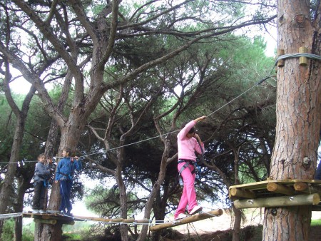 Tree top adventure park perto de Albufeira